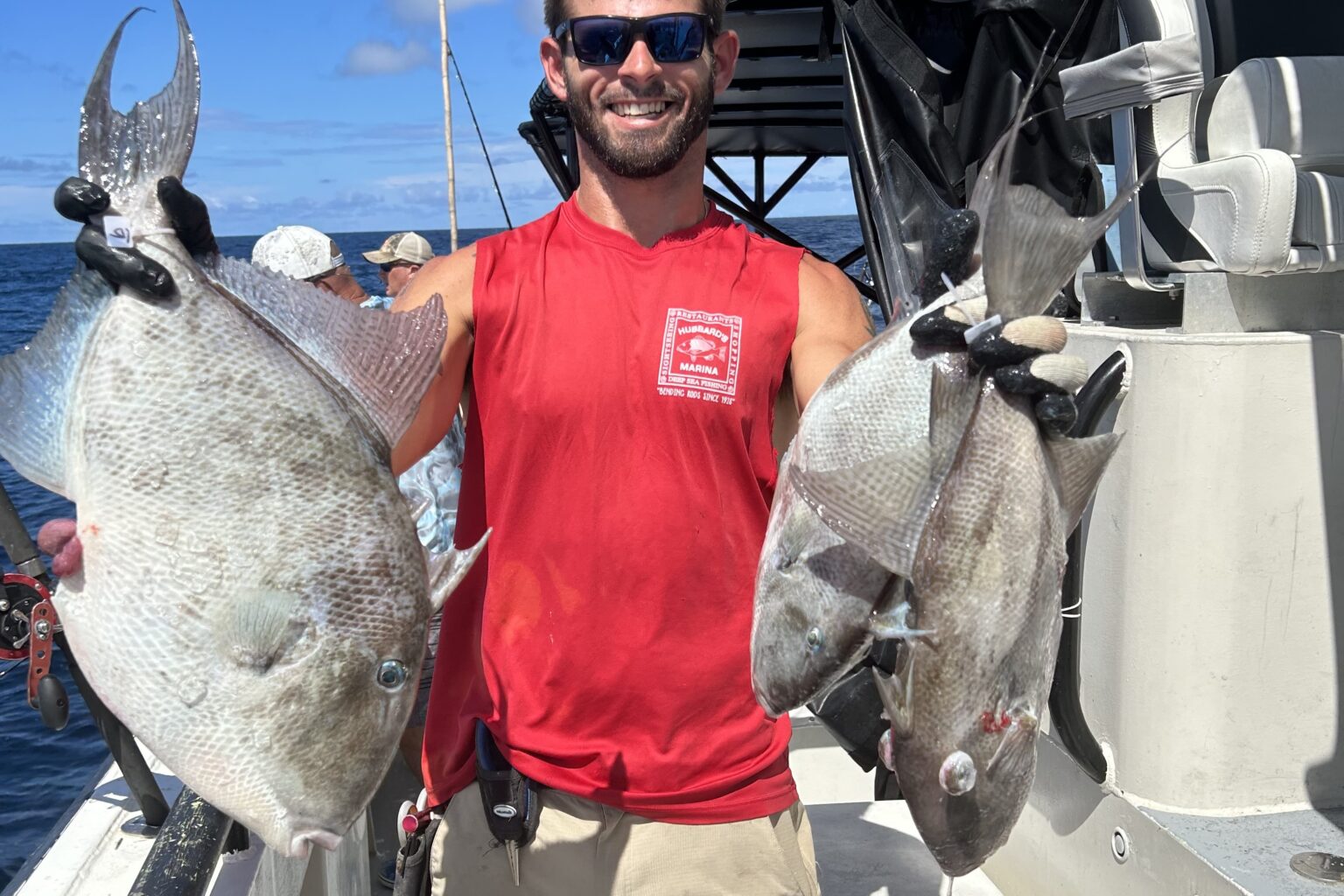 OFFSHORE - triggerfish (2)
