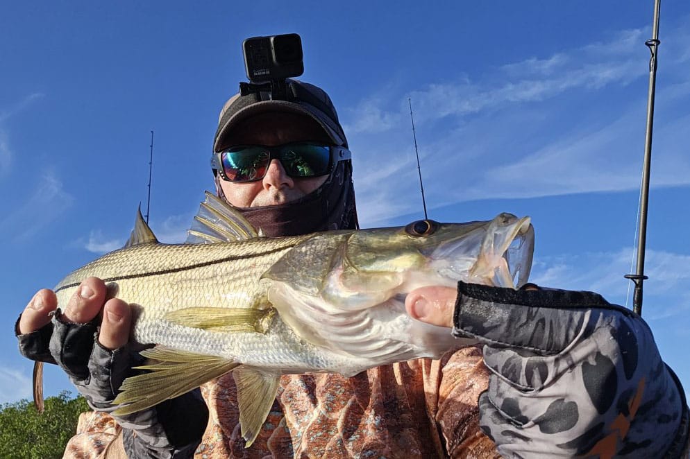 inshore-snook