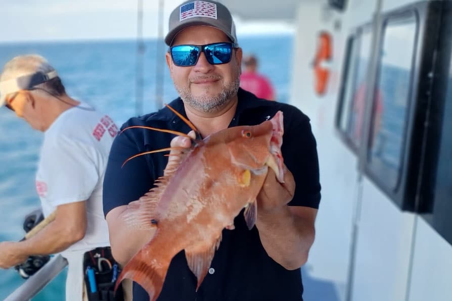 nearshore-hogfish (1)
