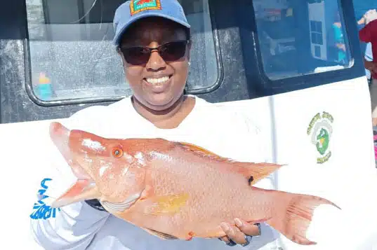 nearshore-hogfish (2)