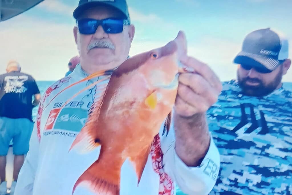 nearshore-hogfish (3)