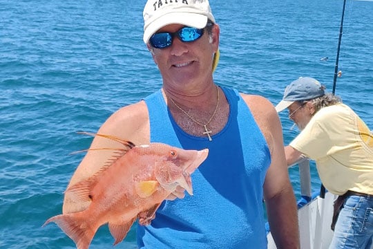 nearshore-hogfish (4)
