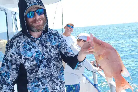nearshore-hogfish (5)