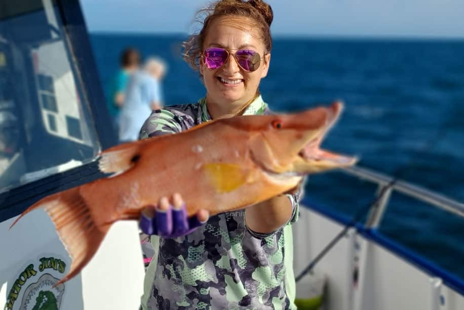 nearshore-hogfish