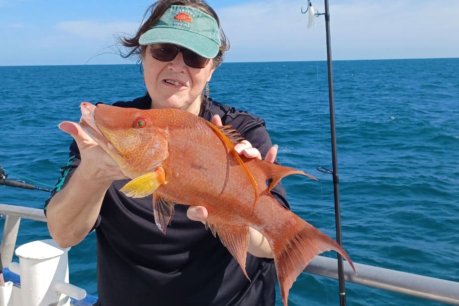 neashore-hogfish