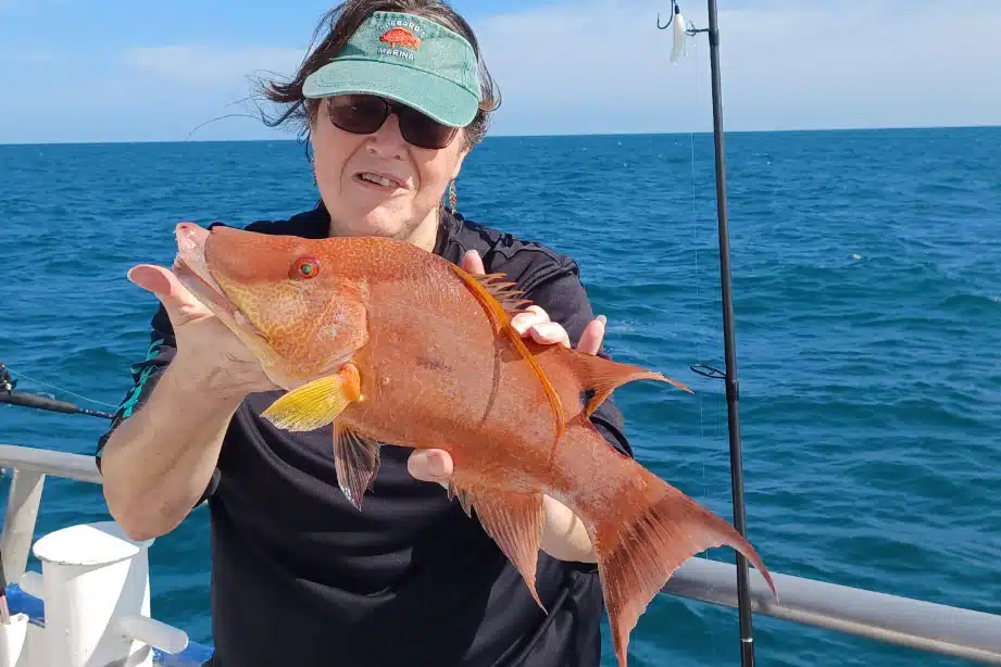 neashore-hogfish