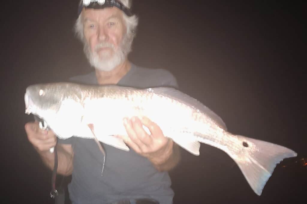snook