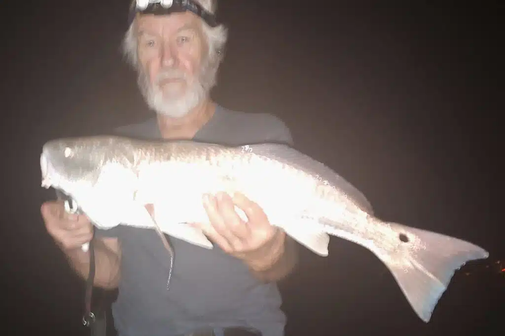 snook