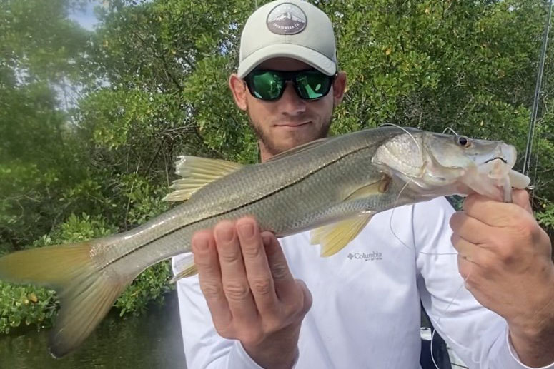 INSHORE-SNOOK