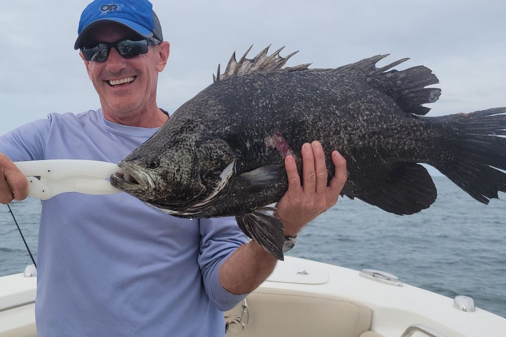 INSHORE-TRIPLETAIL