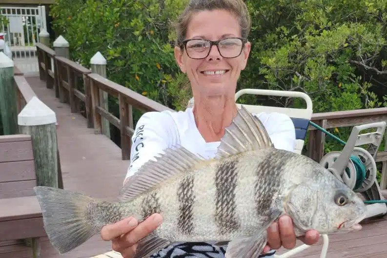 INSHORE - black drum (1)