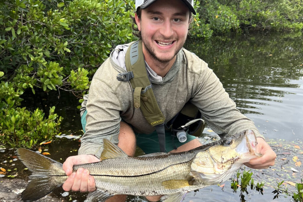 INSHORE - snook (1)