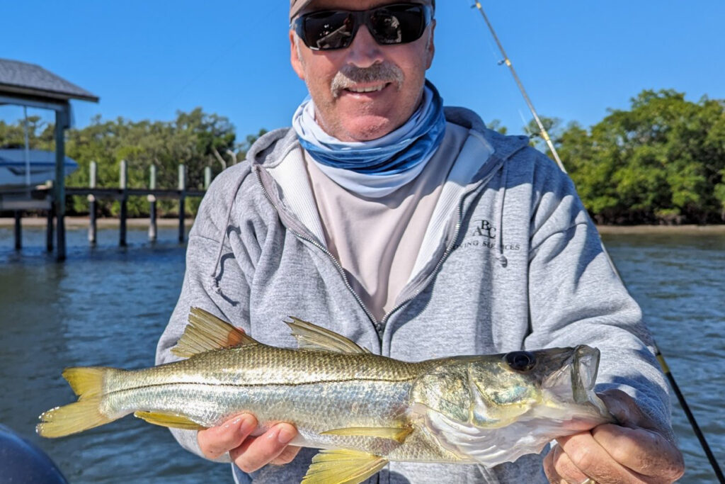 INSHORE - snook (2)