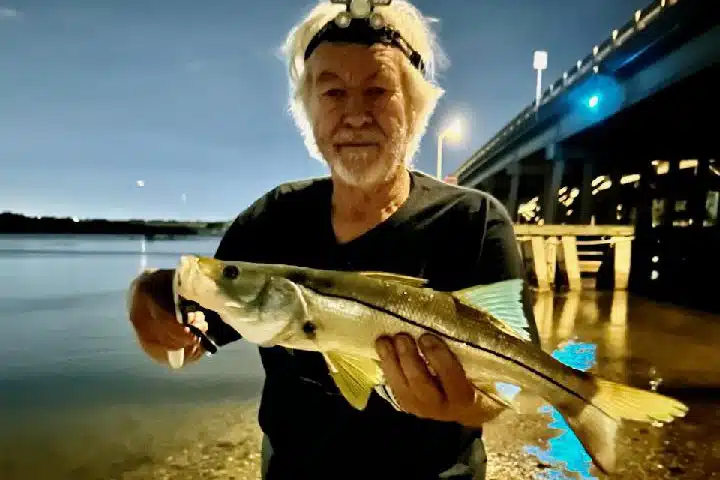 INSHORE - snook (5)