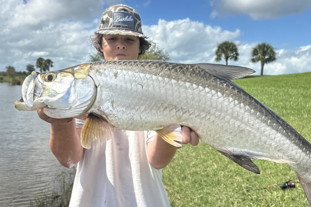 INSHORE - tarpon 2