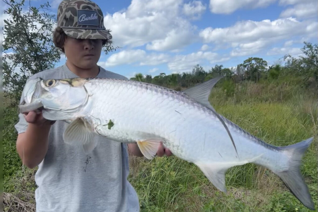 INSHORE - tarpon