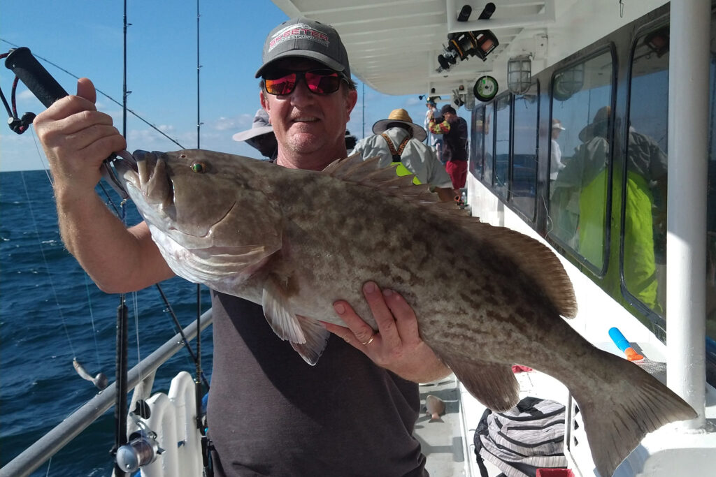NEAR SHORE & OFFSHORE - gag grouper (4)
