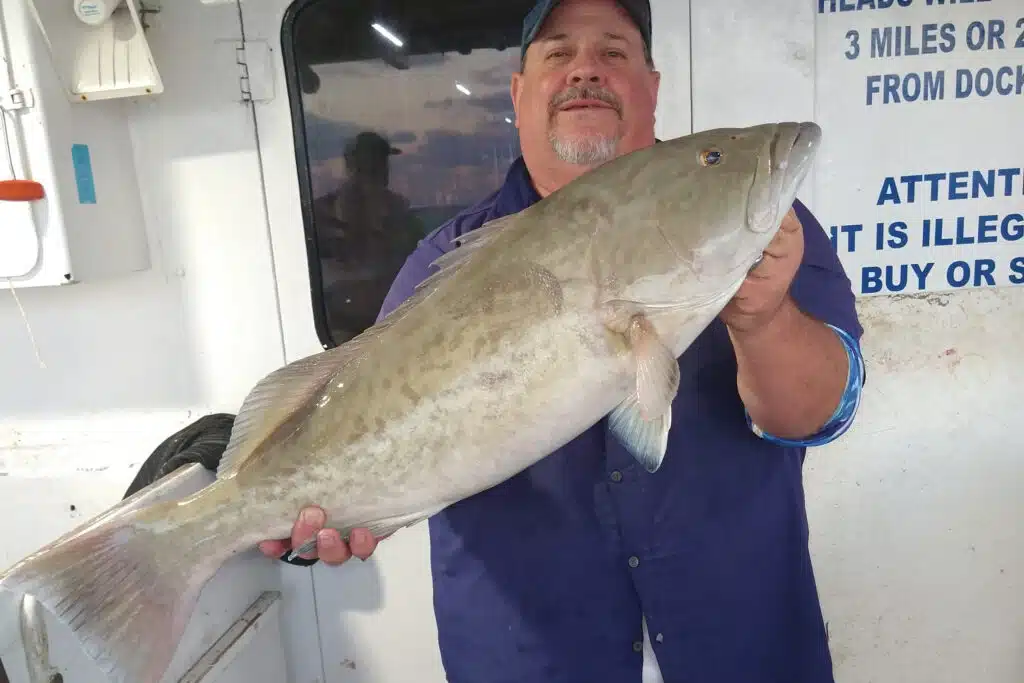 NEAR SHORE & OFFSHORE - gag grouper (5)