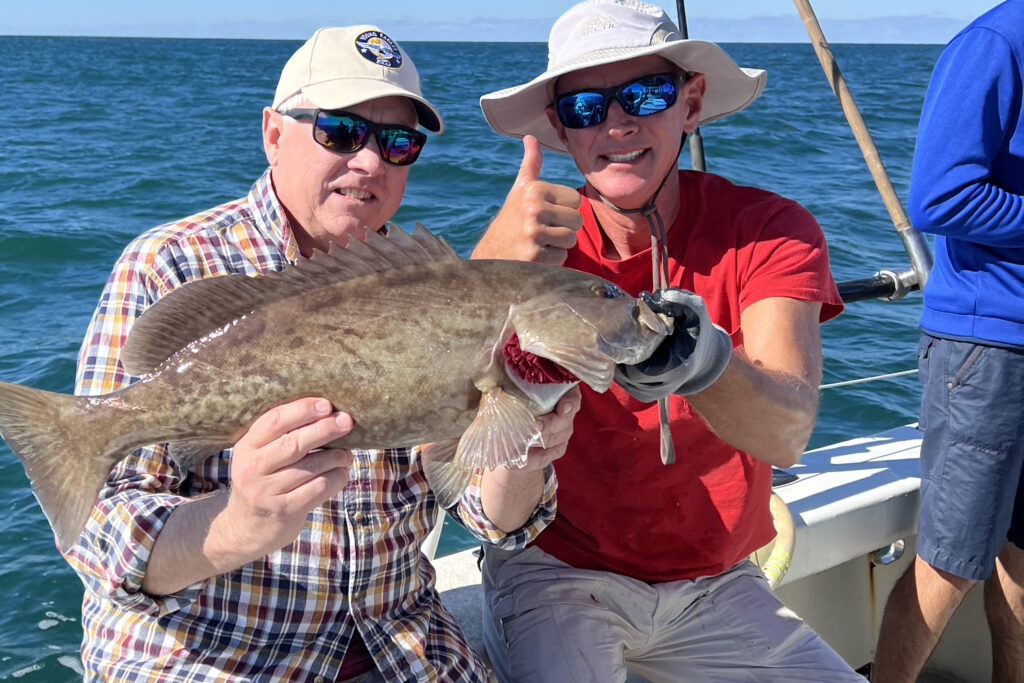 NEAR SHORE & OFFSHORE - gag grouper (8)