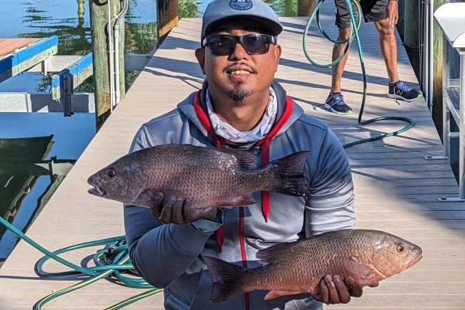 NEAR SHORE & OFFSHORE - mangrove snapper (1)