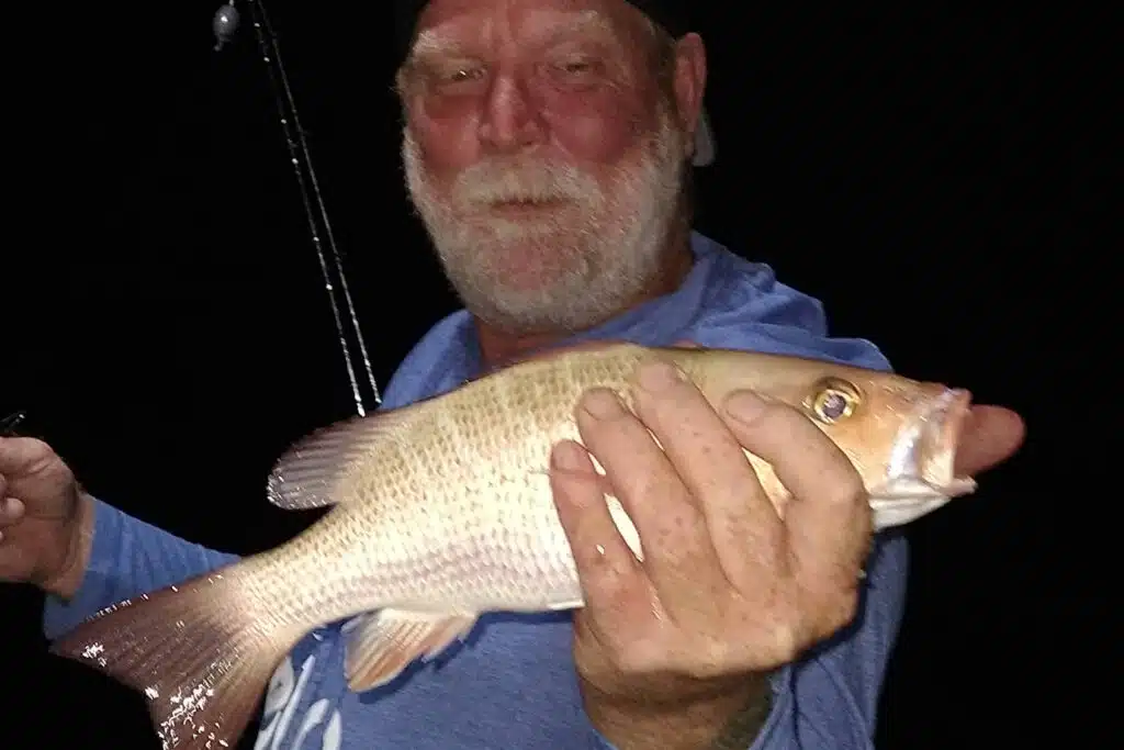 NEAR SHORE & OFFSHORE - mangrove snapper (3)