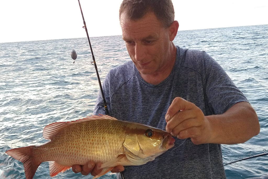 NEAR SHORE & OFFSHORE - mangrove snapper (4)