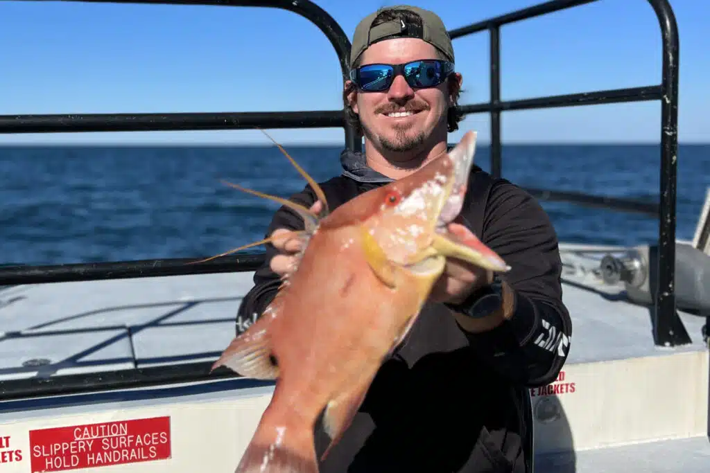 NEAR SHORE - hogfish (2)