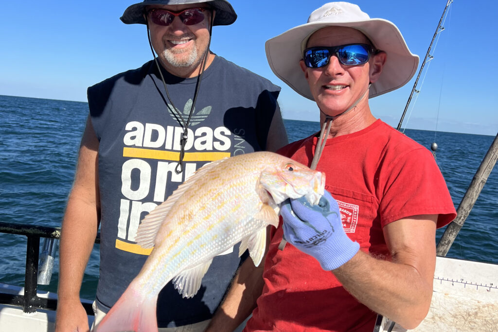 NEAR SHORE - lane snapper