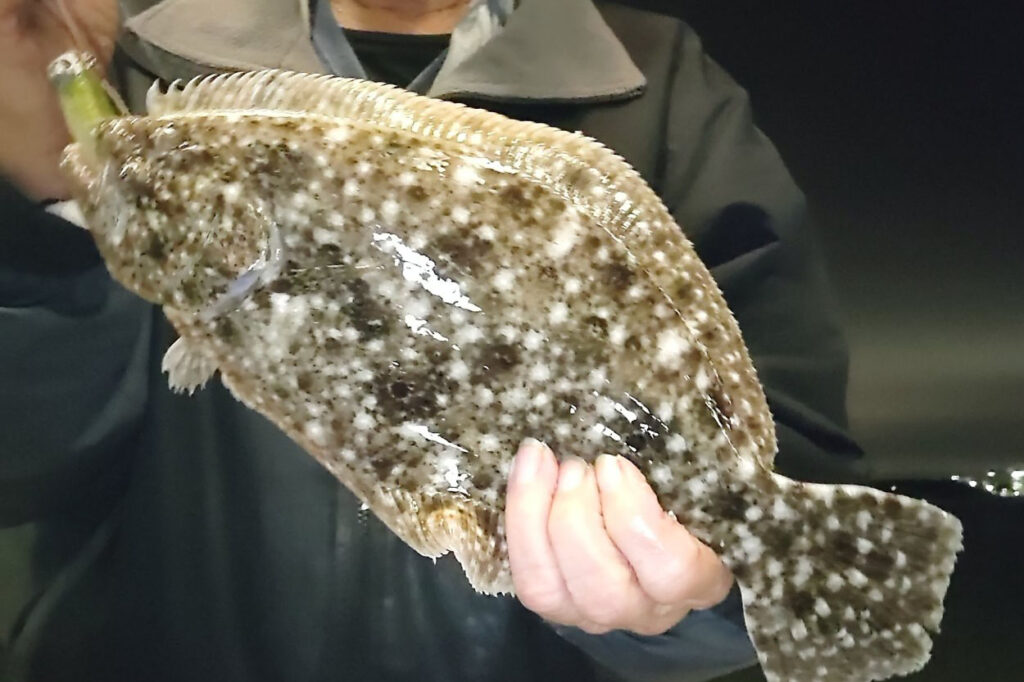 INSHORE - Flounder-4