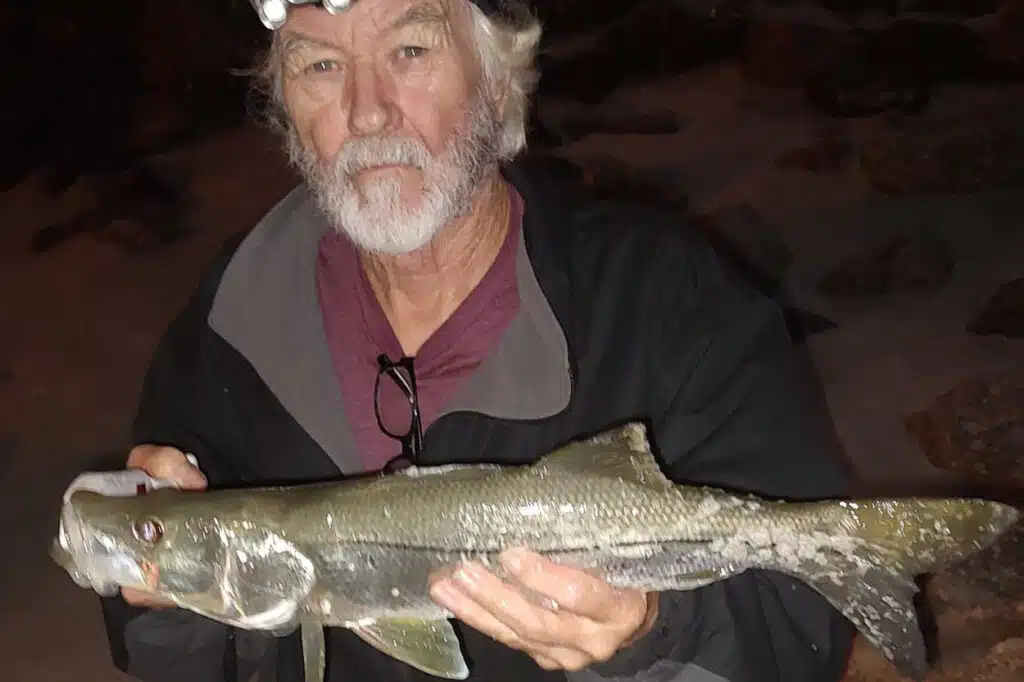 INSHORE - Snook (1)