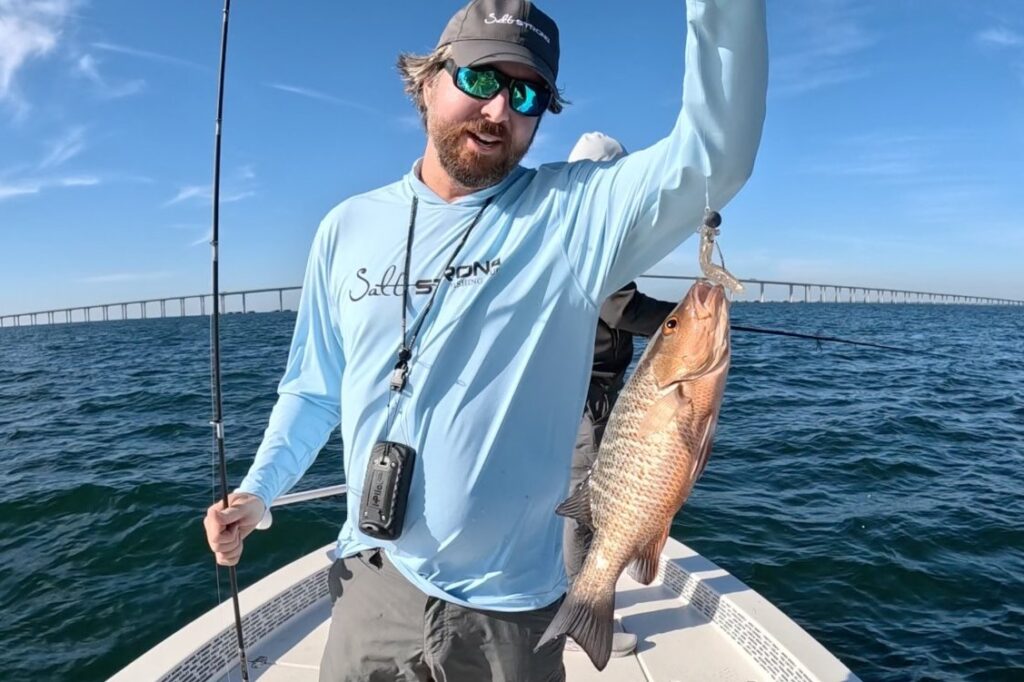 INSHORE - mangrove snapper (2)