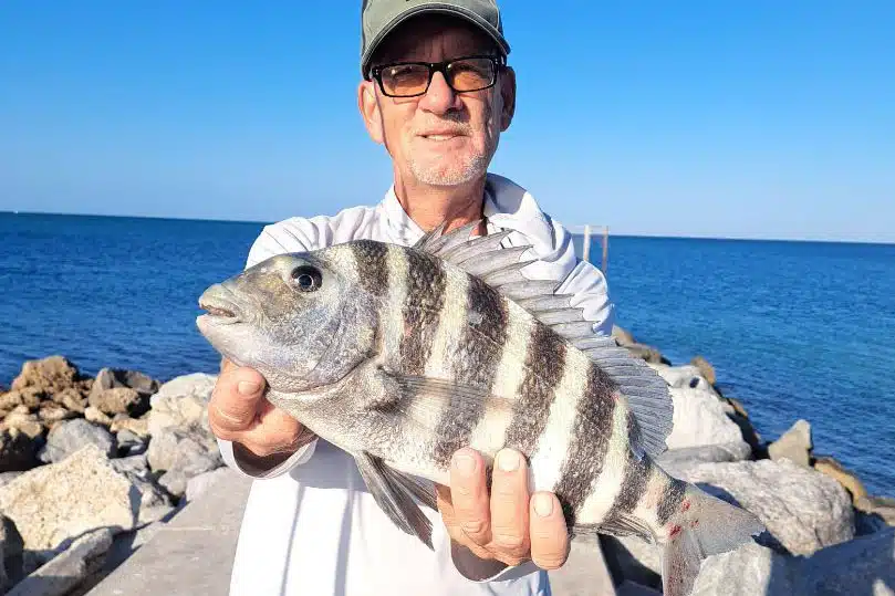 INSHORE - sheepshead
