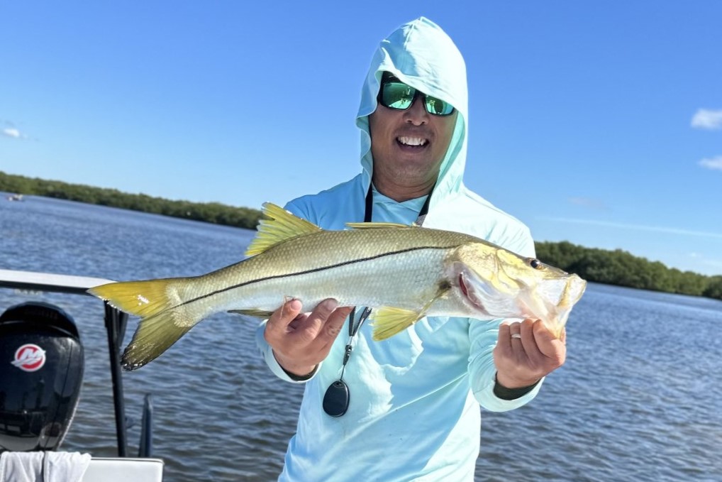 INSHORE - snook (2)