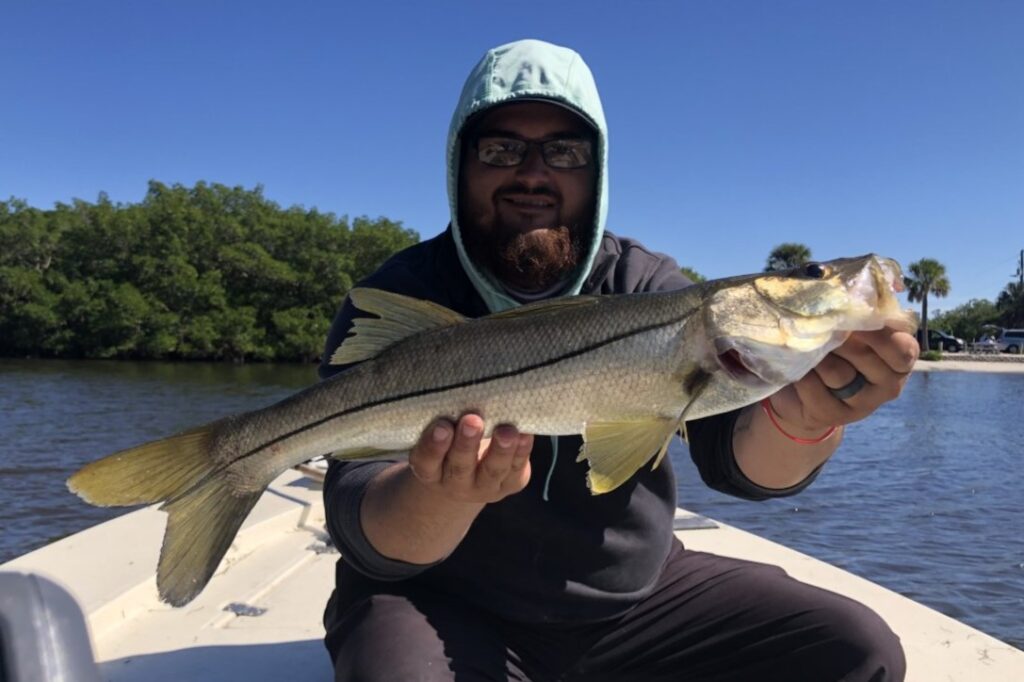 INSHORE - snook (5)