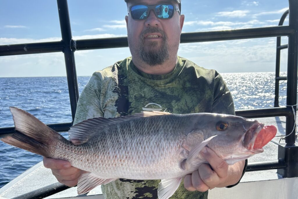 NEAR SHORE & OFFSHORE - mangrove snapper (10)