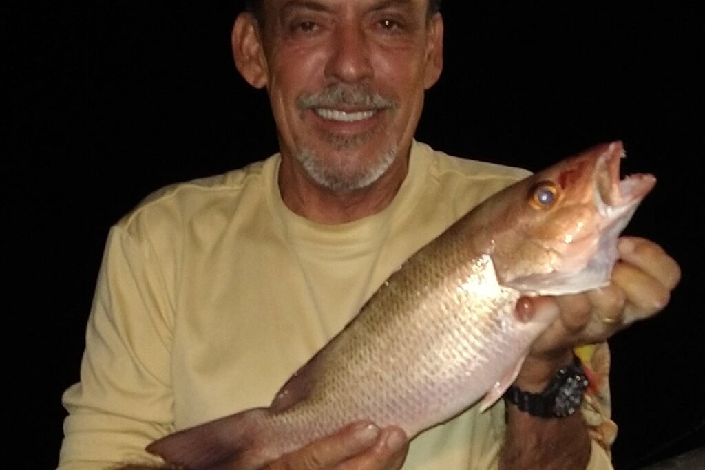 NEAR SHORE & OFFSHORE - mangrove snapper (13)