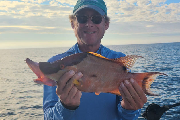 NEAR SHORE & OFSHORE - hogfish -11