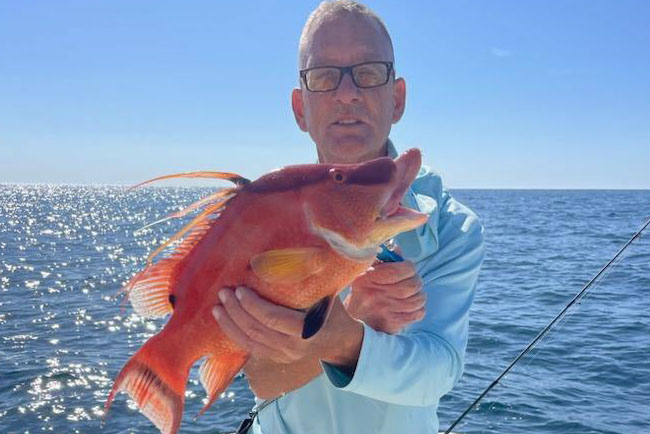 NEAR SHORE & OFSHORE - hogfish -9