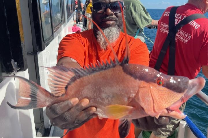 NEAR SHORE - hogfish (8)