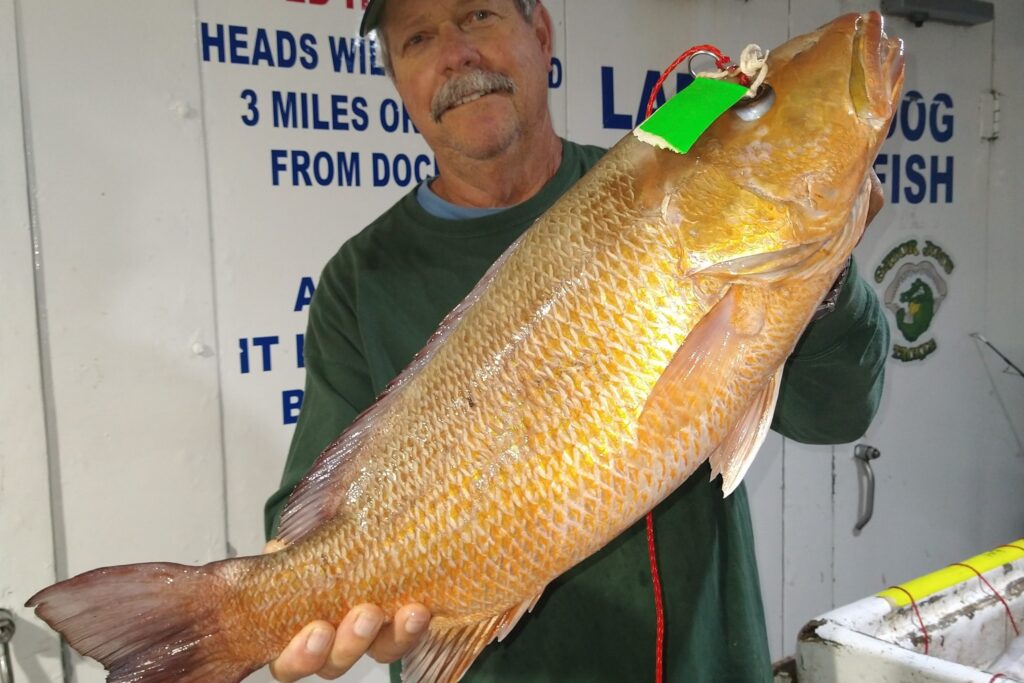 OFFSHORE & NEAR SHORE - mangrove snapper (1)