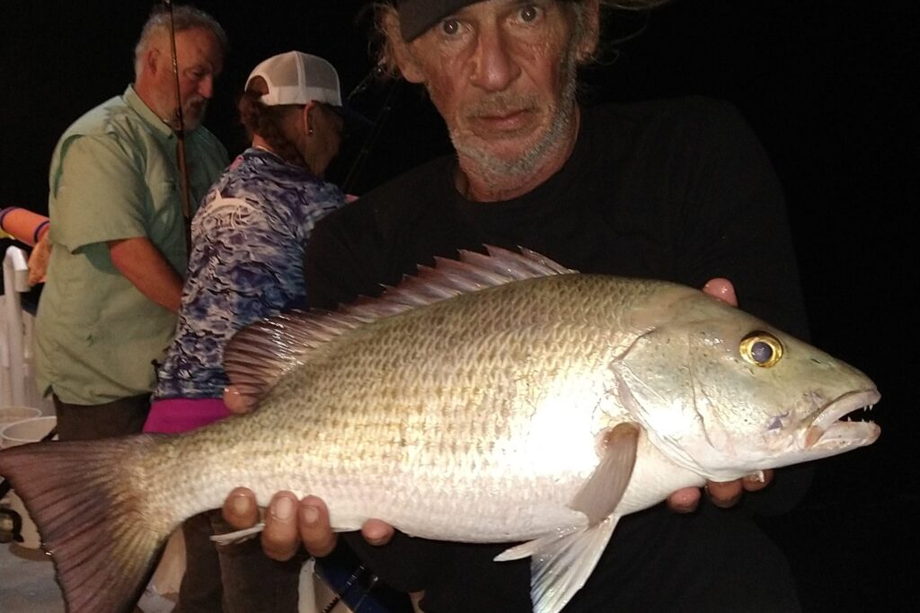 OFFSHORE & NEAR SHORE - mangrove snapper (2)