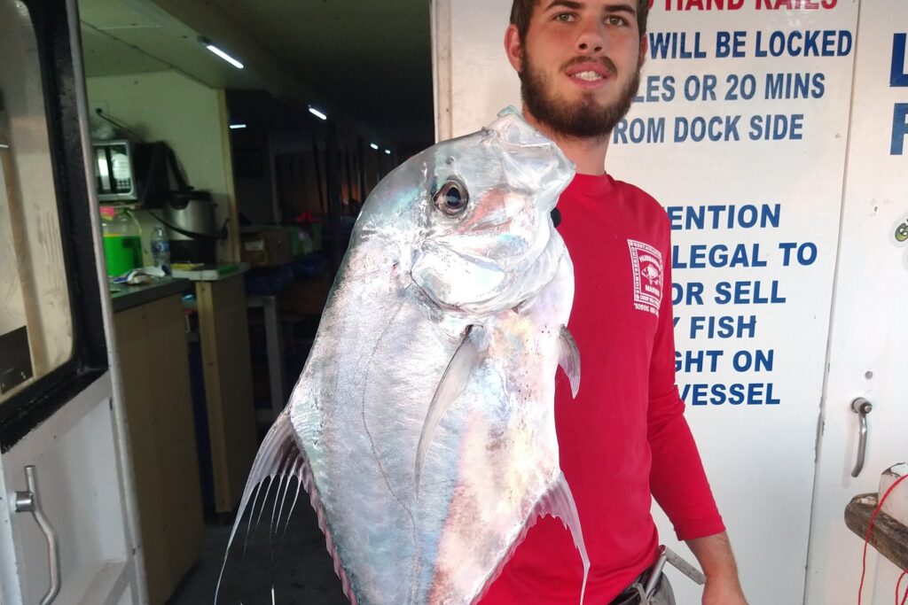 OFFSHORE - african pompano