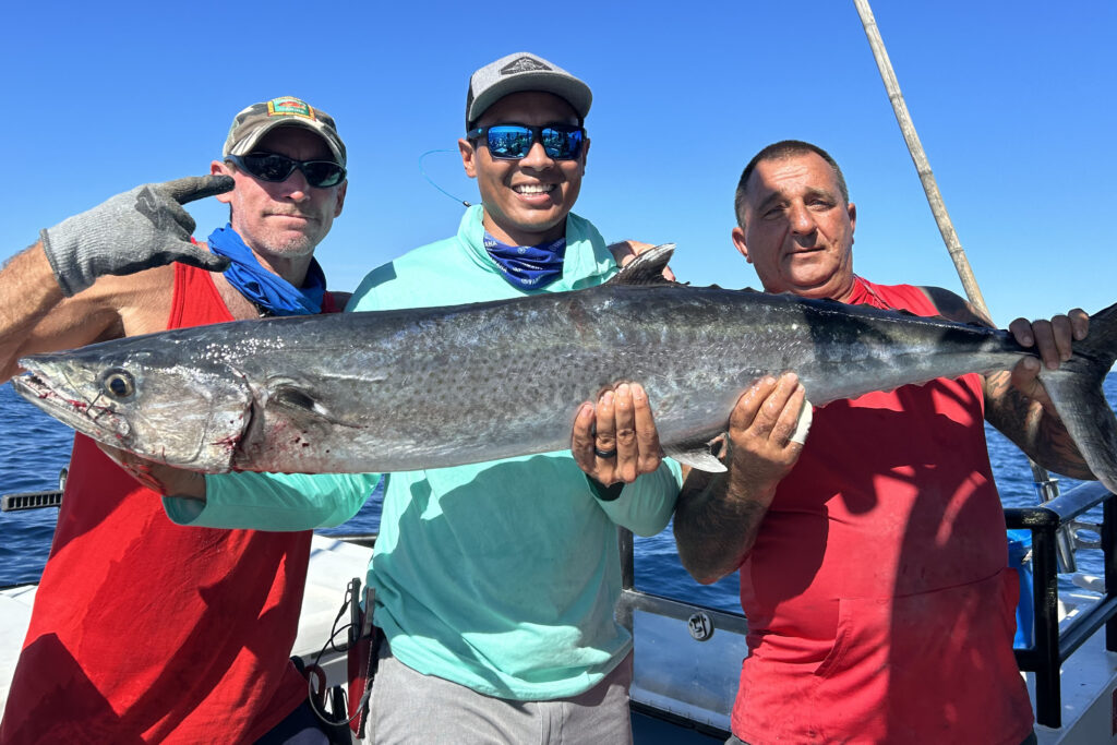 OFFSHORE - kingfish-1