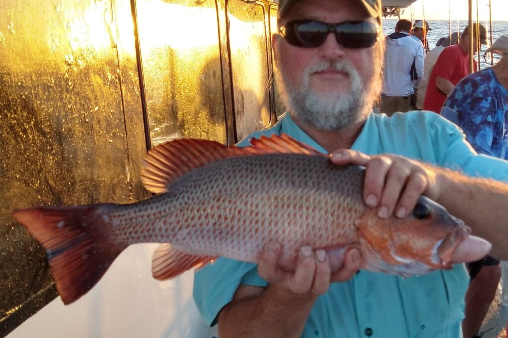 OFFSHORE - mangrove snapper