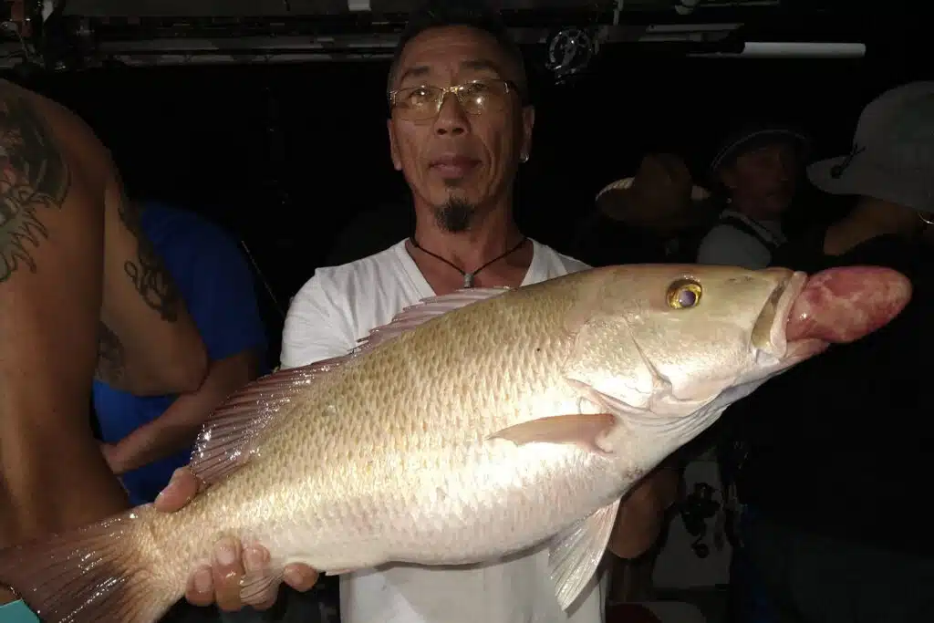 OFFSHORE - mangrove snapper -7
