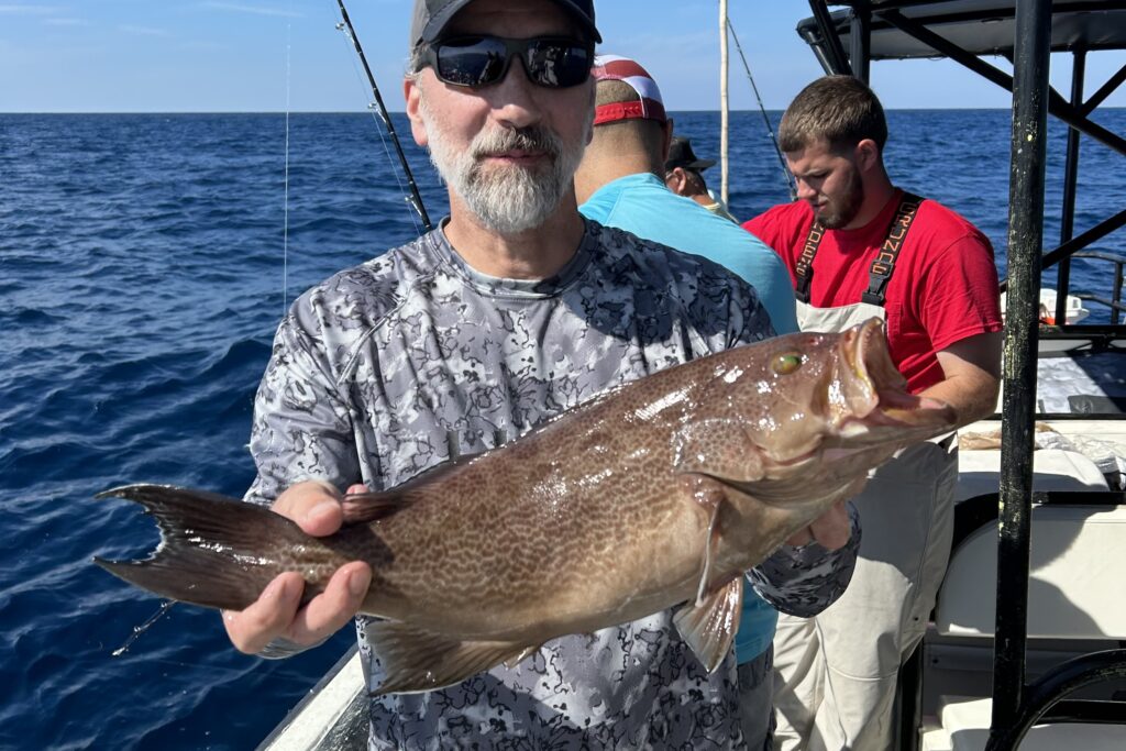 OFFSHORE - scamp grouper