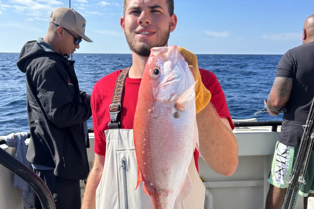 OFFSHORE - vermillion snapper (1)