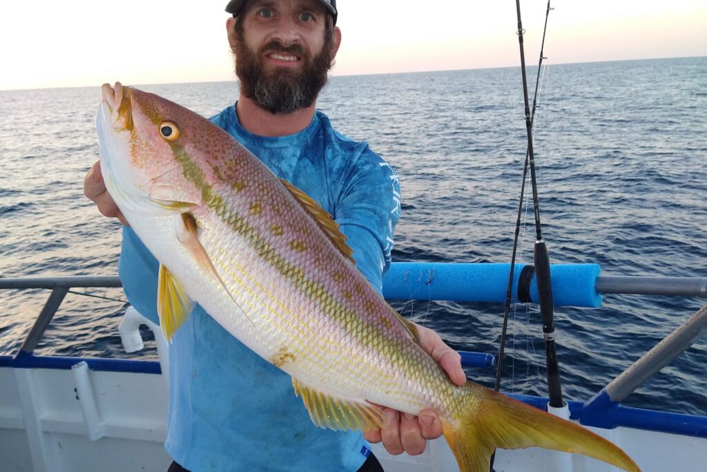 OFFSHORE - yellowtail snapper (2)