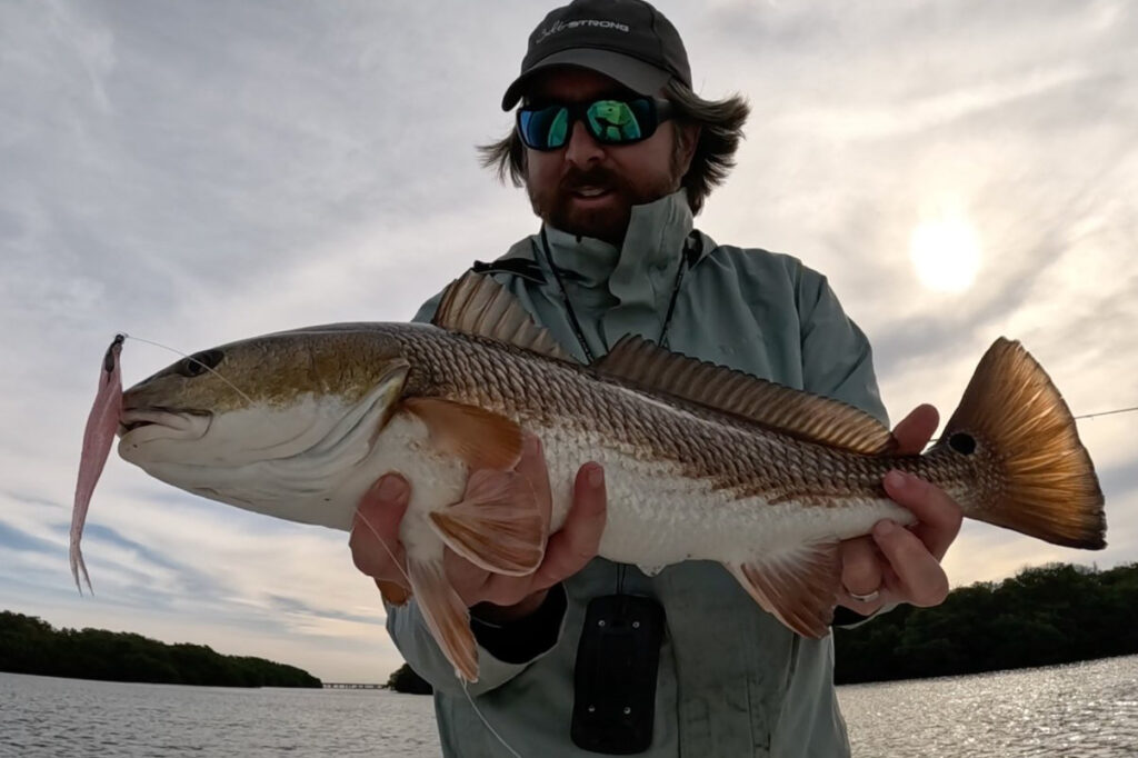 INSHORE-redfish