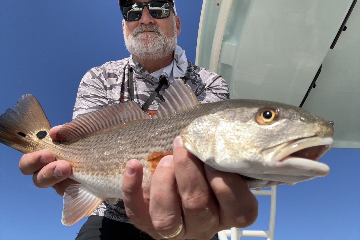 INSHORE - redfish (2)